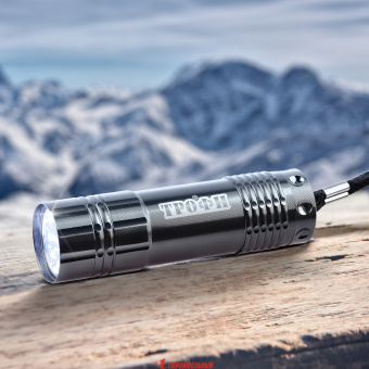 Фонарь светодиодный ручной TM9 9LED алюм. элементы питания 3хAAA 