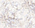 8622-13 (6) WalllSecret Comfort Обои горячего тиснения на флизелиновой основе 1,06*10,05