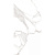 Керамогранит рект. Veneto White F P 60x120 R Full Lappato 1(1,44м2/47,52м2/33уп)