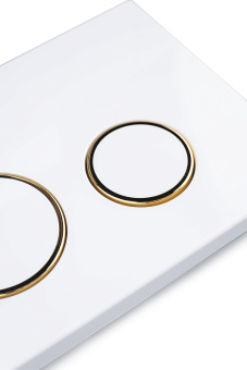 Клавиша АНИ Пласт для системы скрытой установки унитаза глянцевая белая, обод золото, клавиша белый глянец WPG2050G