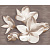 Панно из 2 частей AMATI PLUMERIA ALBA 40,2x50,5 (6 комплектов)